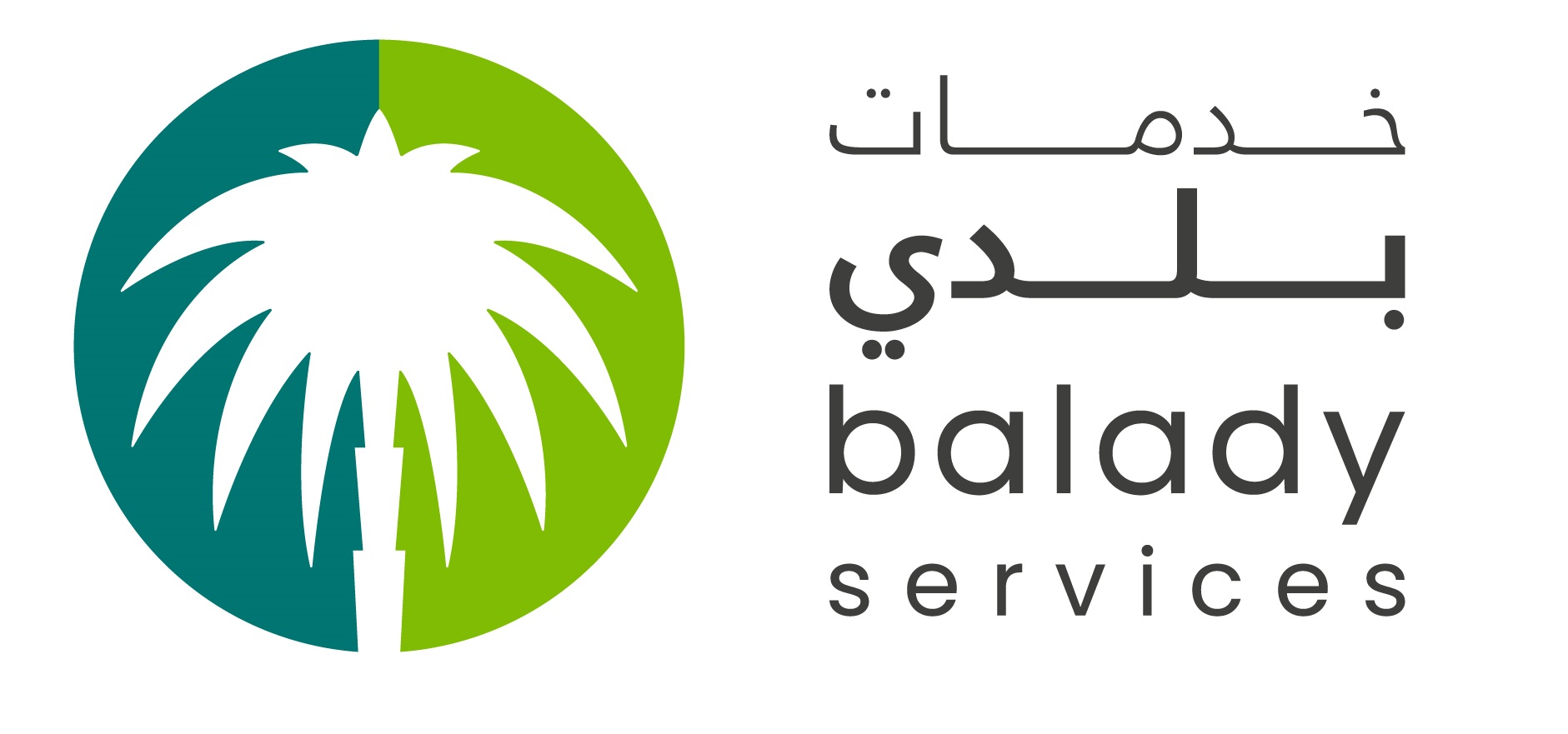 Balady services_Logo